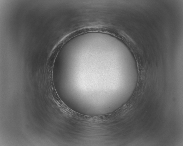 X0000081311208200701110953