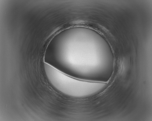 X0000081311209200701110953