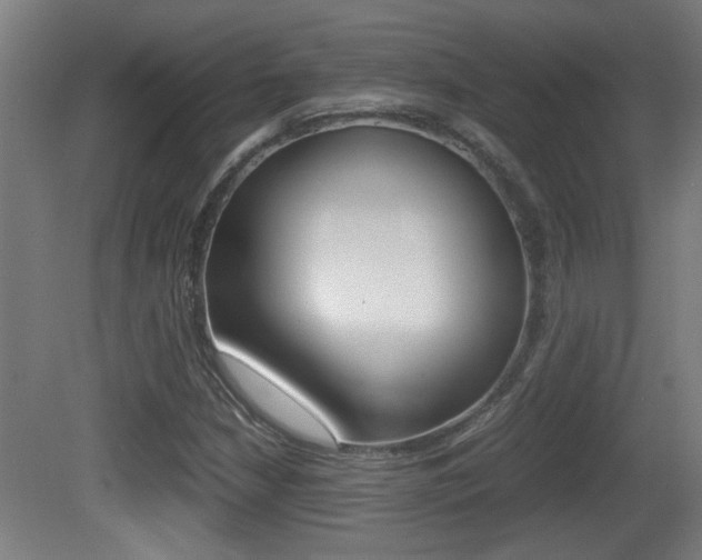 X0000081311210200701110953