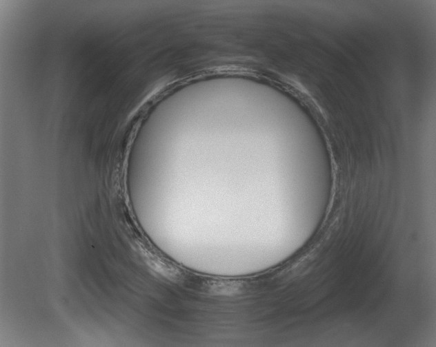X0000081311211200701110953