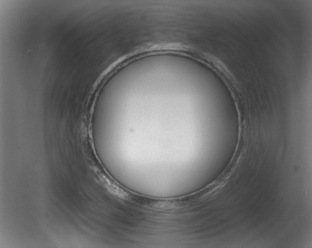 X0000081311212200701110953
