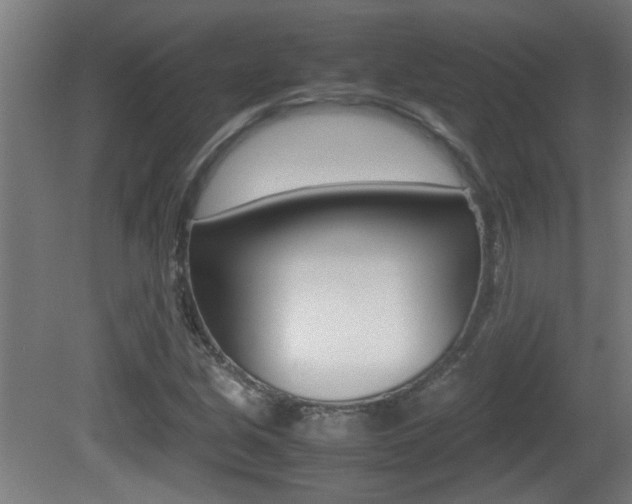 X0000081311213200701110953