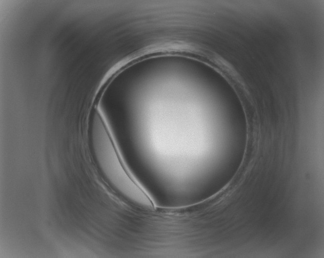 X0000081311226200701110954