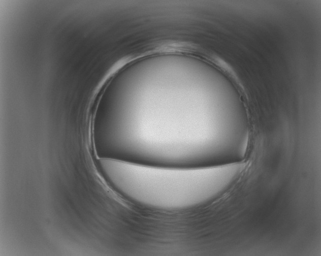 X0000081311227200701110954