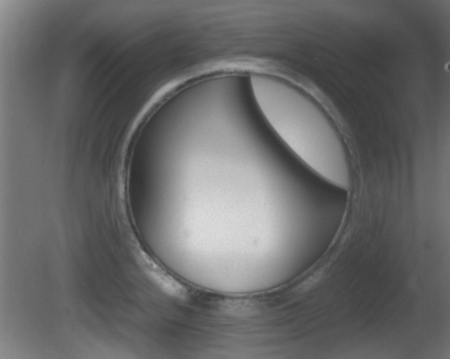 X0000081311232200701110954