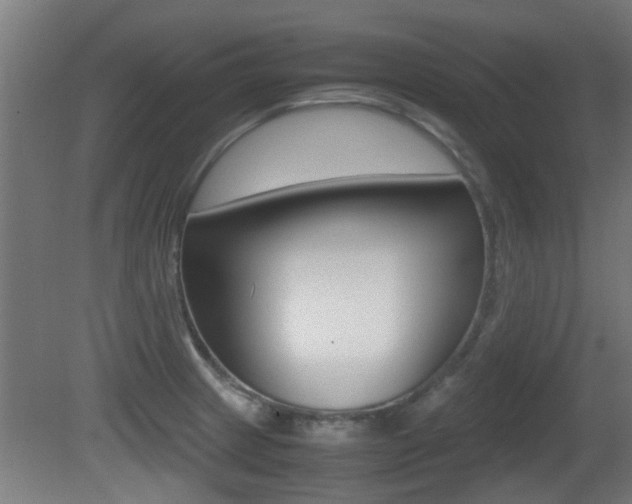X0000081311233200701110954