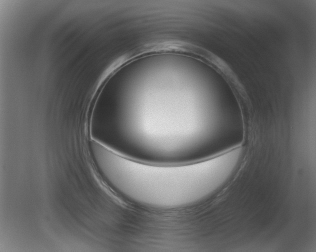 X0000081311234200701110954