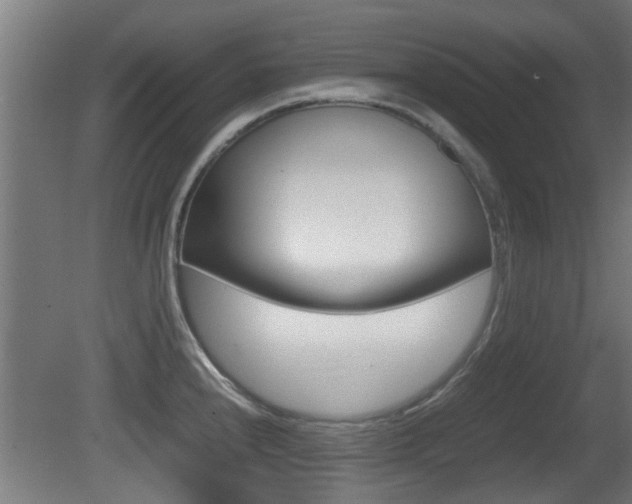 X0000081311240200701110954