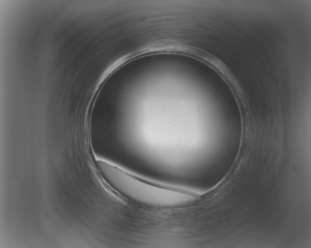 X0000081311242200701110954