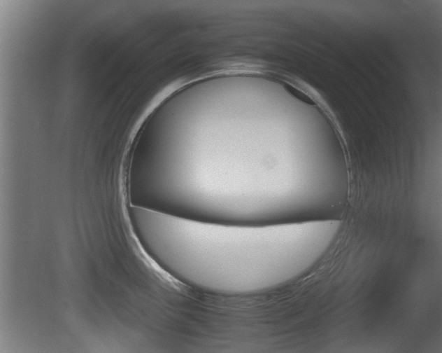 X0000081311243200701110954