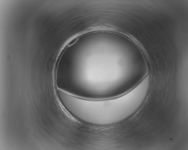 X0000081311246200701110954
