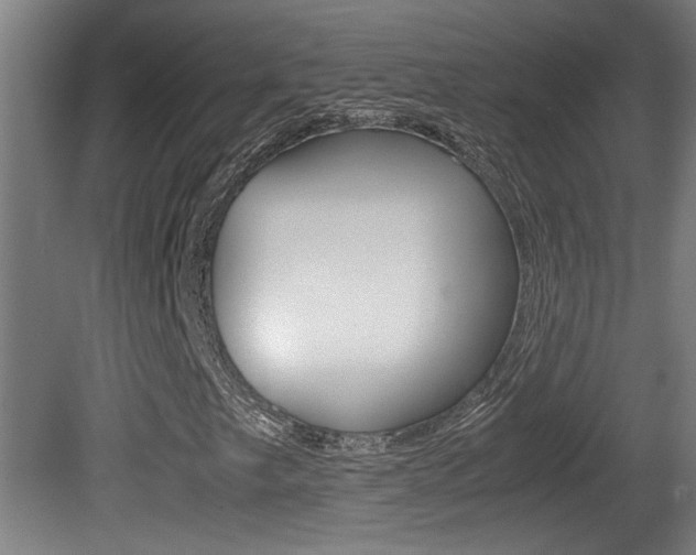 X0000081311249200701110953
