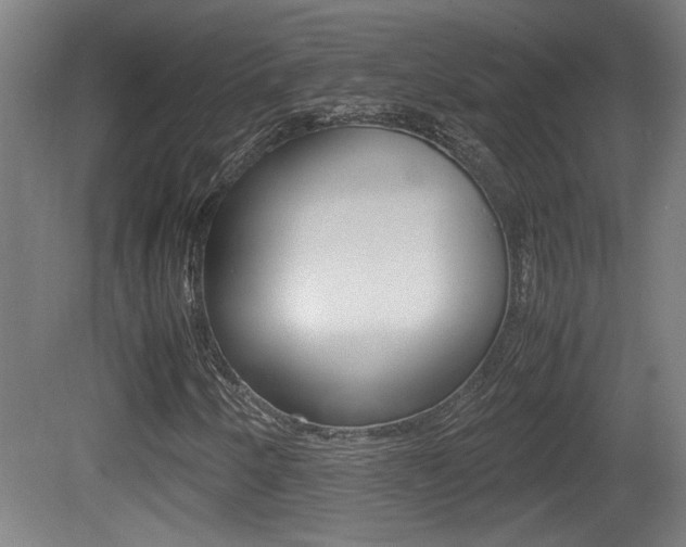 X0000081311250200701110953