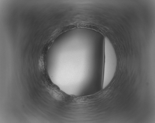 X0000081311252200701110953