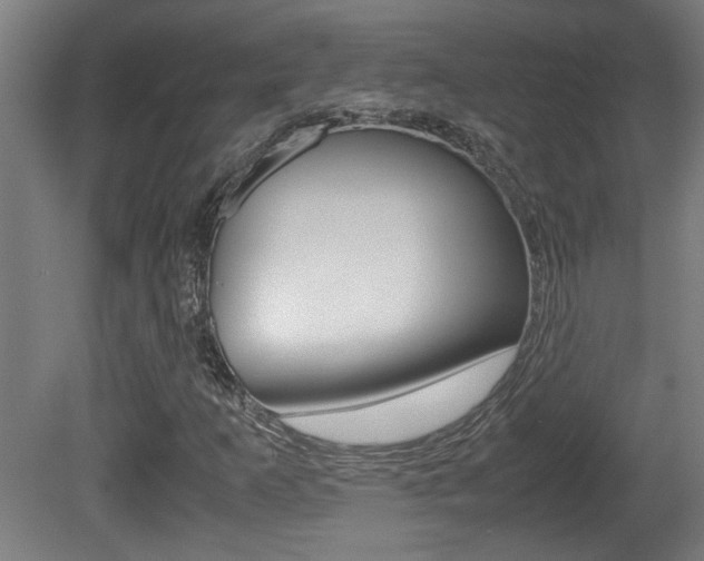 X0000081311253200701110953
