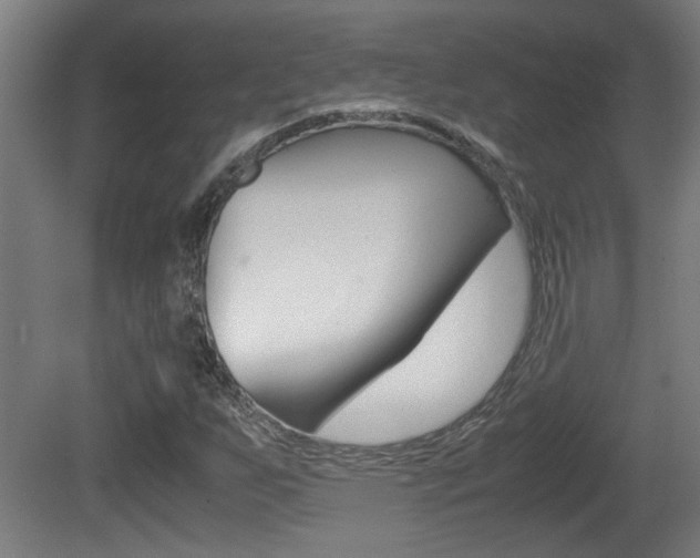 X0000081311255200701110953