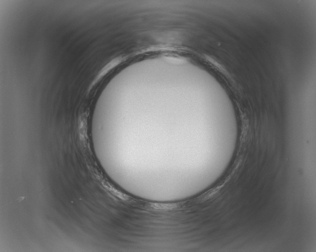 X0000081311258200701110953