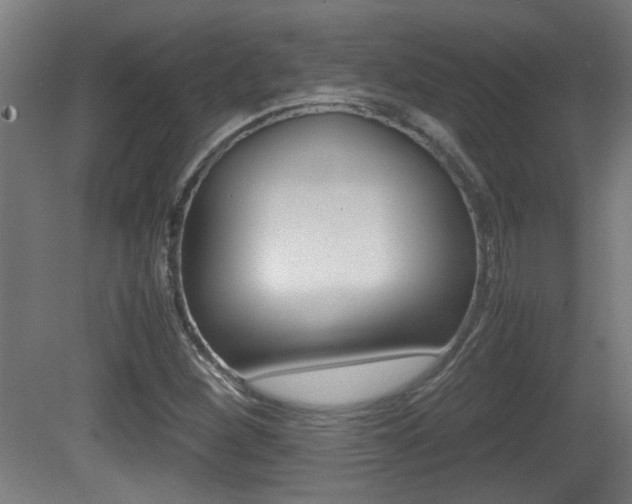X0000081311260200701110953