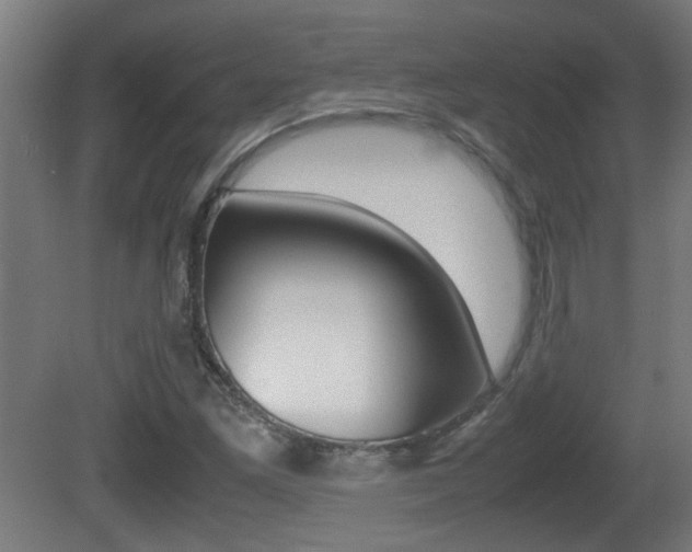 X0000081311261200701110953