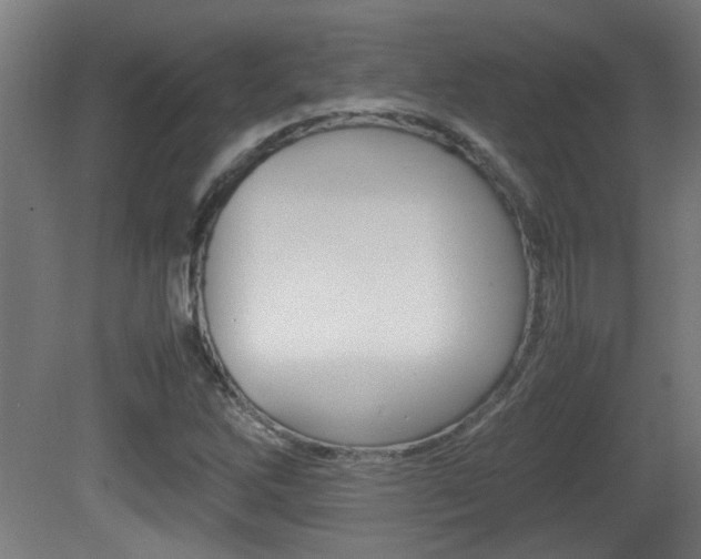 X0000081311262200701110953