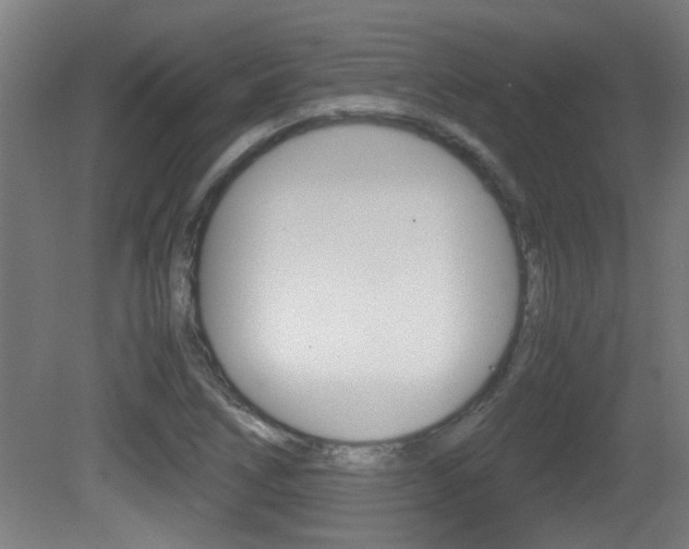 X0000081311266200701110953
