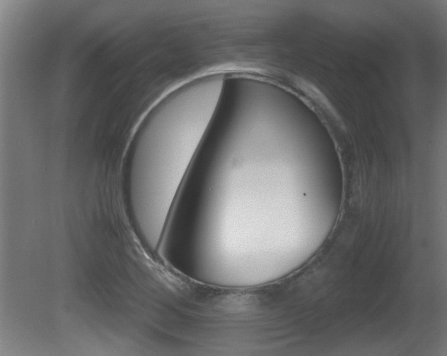 X0000081311268200701110953