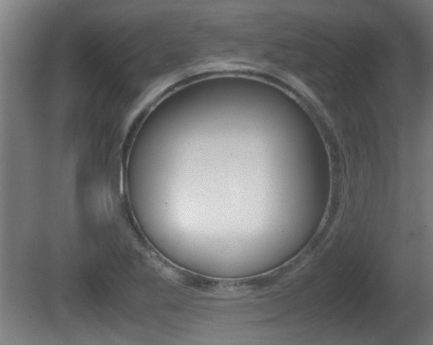 X0000081311269200701110953