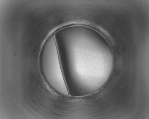 X0000081311272200701110953