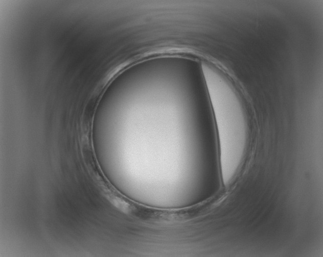 X0000081311273200701110953