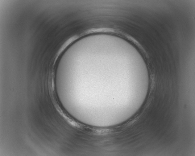 X0000081311274200701110953