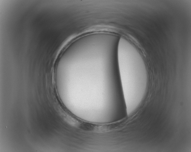 X0000081311275200701110953