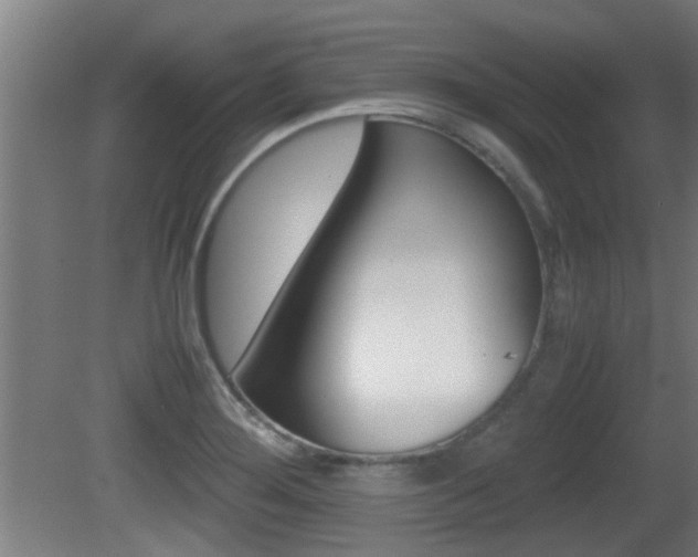 X0000081311276200701110953
