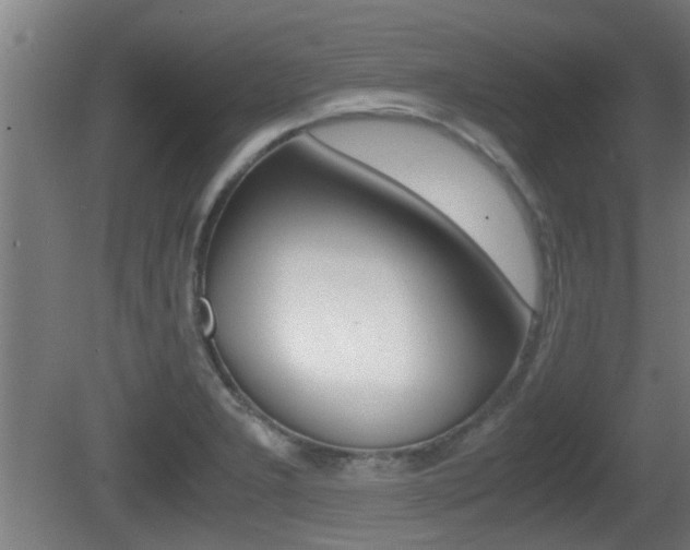 X0000081311277200701110953