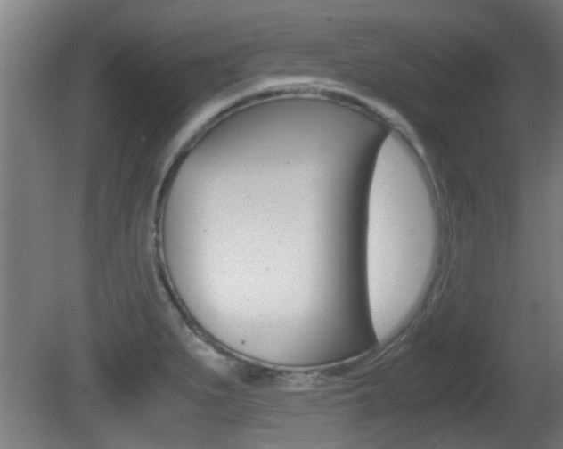 X0000081311279200701110953