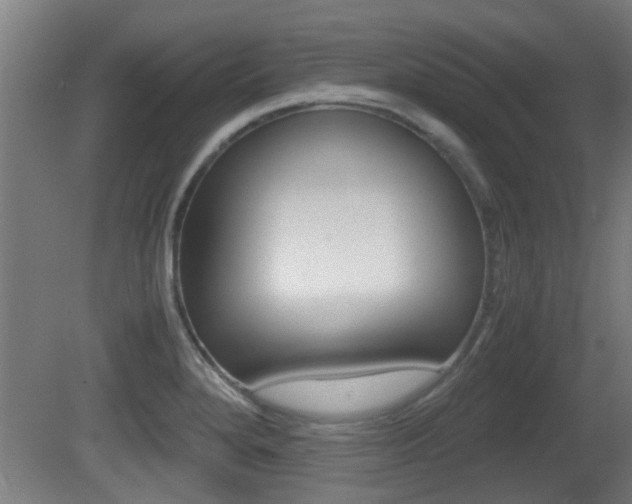 X0000081311280200701110953
