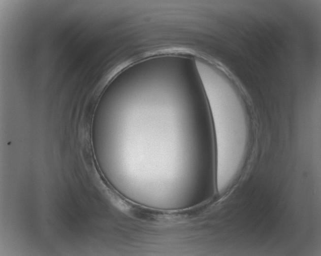 X0000081311281200701110953
