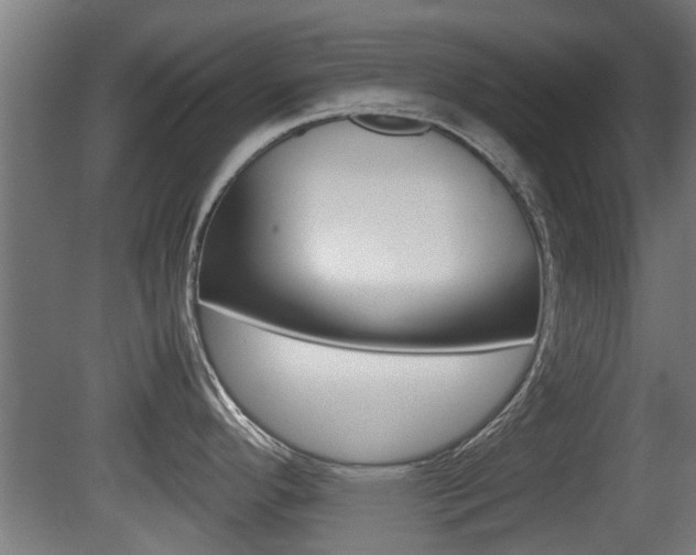 X0000081311296200701110952