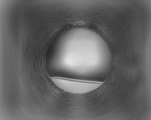 X0000081311297200701110952