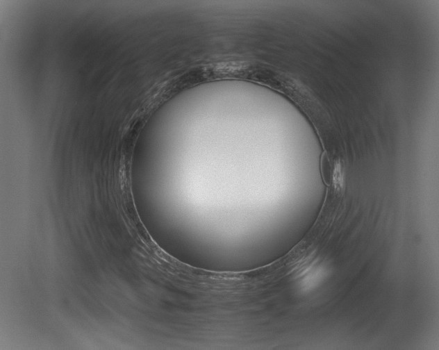 X0000081311299200701110952