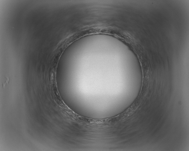 X0000081311302200701110952