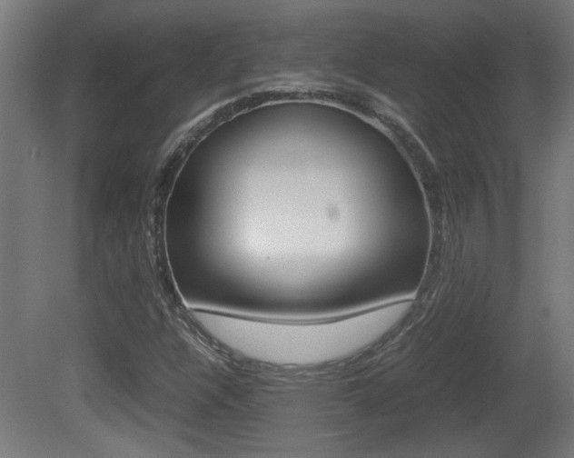 X0000081311304200701110952