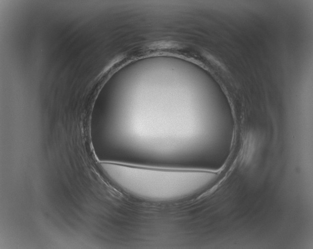 X0000081311305200701110952