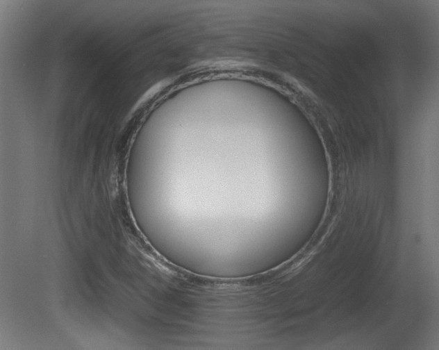 X0000081311306200701110952