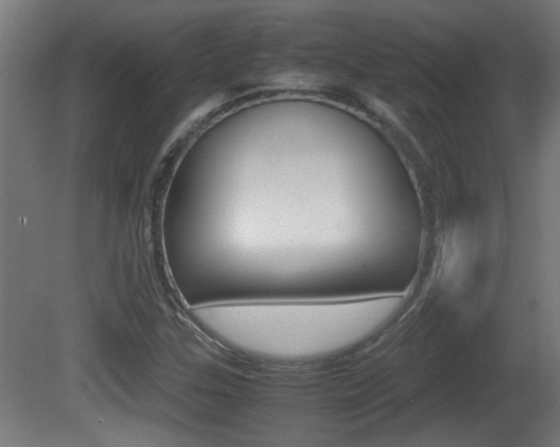 X0000081311307200701110952
