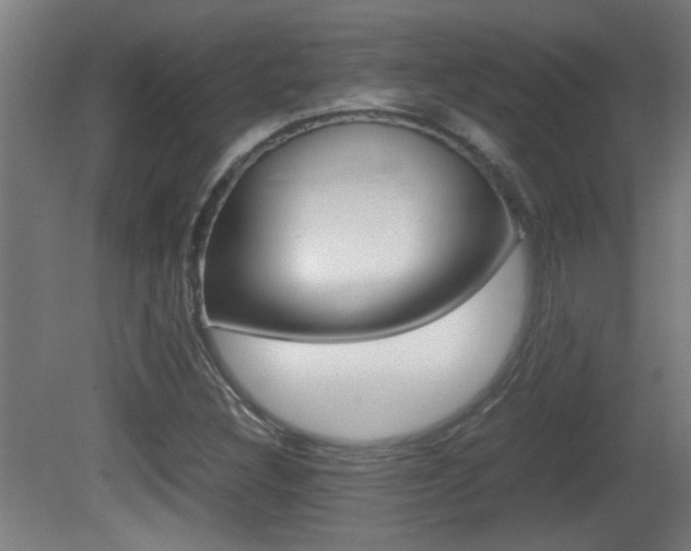 X0000081311308200701110952