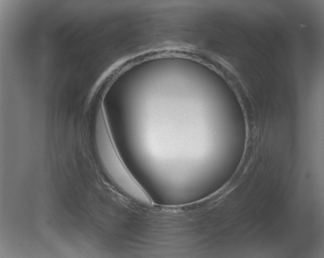 X0000081311310200701110952