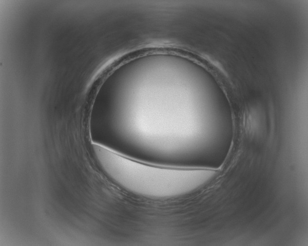 X0000081311311200701110952