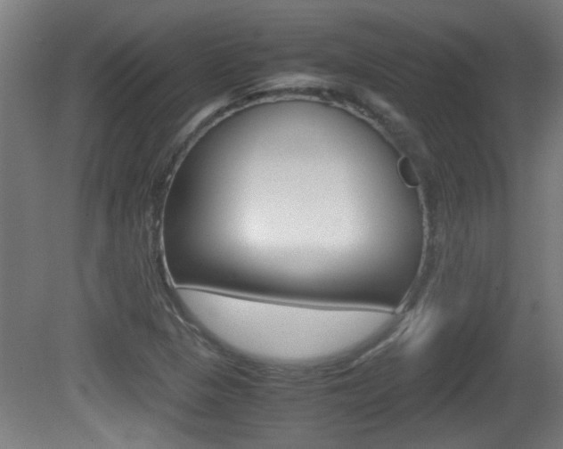 X0000081311313200701110952