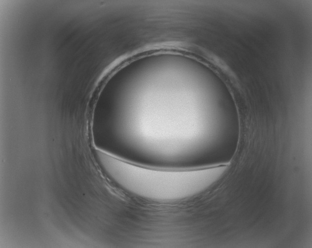 X0000081311316200701110952