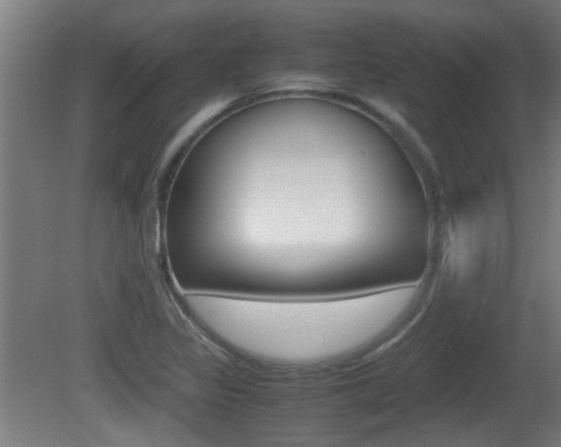 X0000081311317200701110952